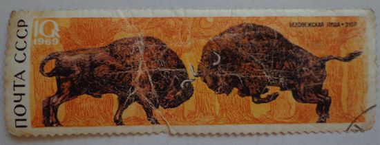 СССР.1969.Беловежская пуща.зубр
