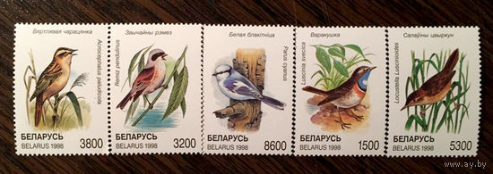 Певчие птицы. Беларусь. 1998. Полная серия 5 марок. Чистые