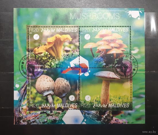 Мальдивы. 2014 год. Флора. Грибы. Блок (1009)