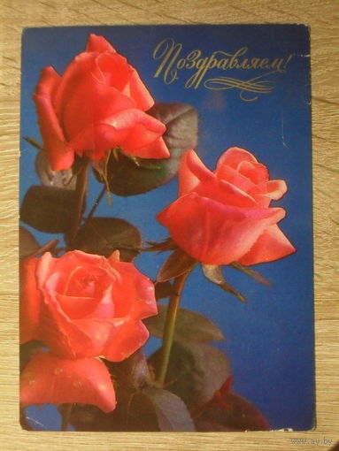 ПОДПИСАННАЯ ОТКРЫТКА СССР. "ПОЗДРАВЛЯЕМ". ФОТО. Г. КОСТЕНКО. 1976 ГОД.
