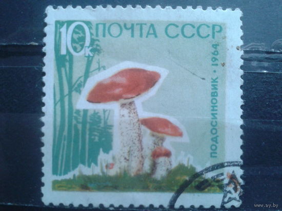 1964 Подосиновик