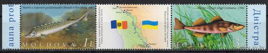 Украина 2007. Фауна Днестра.Рыбы. Совместный выпуск Украина-Молдова 2марки (451)