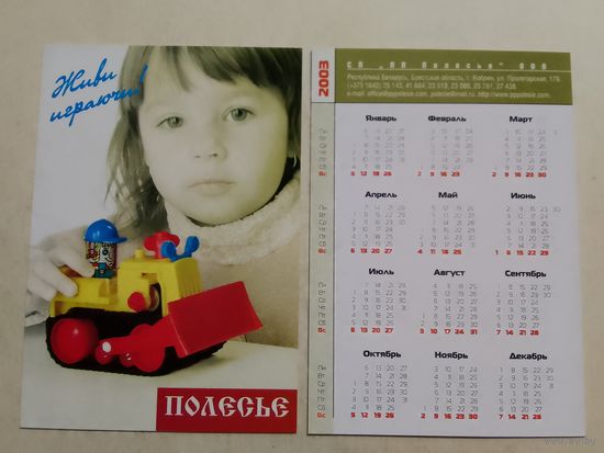 Карманный календарик. Полесье. 2003 год