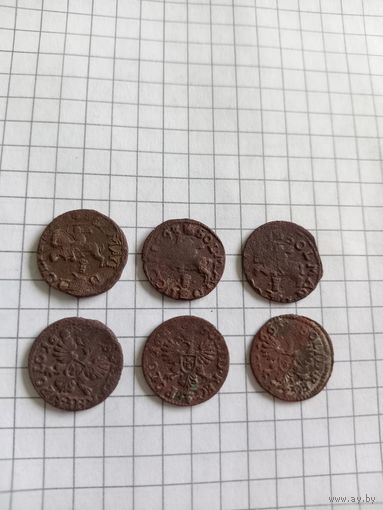 Боратосики интересные