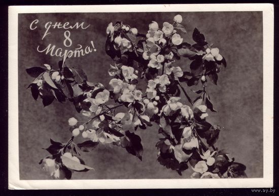 1961 год Р.Мазелев С днём 8 марта!