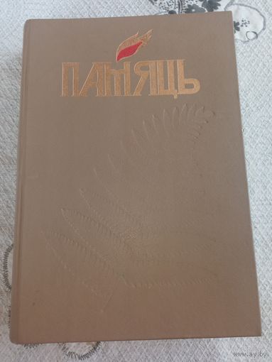 Книга Память Пинск 1998 г