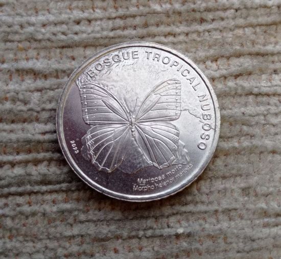Werty71 Коста-Рика 50 колон 2023 Фауна экосистемы Туманный лес Бабочка рода Морфо
