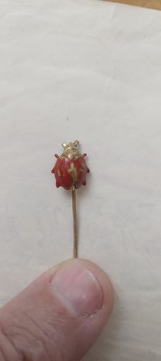 Значок -брошь,жук  т.м