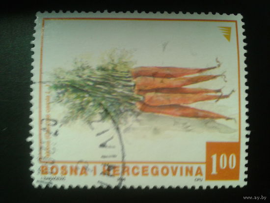Босния и Герцеговина, 2006. Морковь