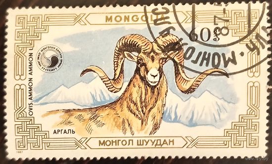 Монголия 1987. Горный баран. Ovis Ammon. Марка из серии