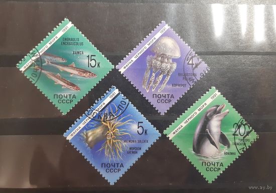 СССР. 1991 год. Фауна Чёрного моря (58)