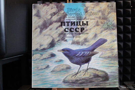 Птицы СССР - Воробьиные: Дрозды (1987, Vinyl)