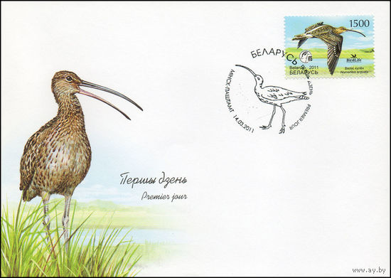 Беларусь 2011 год Конверт первого дня Птица года. Большой кроншнеп.