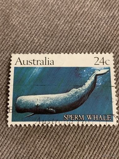 Австралия. Кит. Sperm Whale. Марка из серии