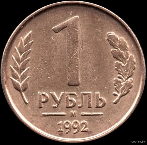 Россия 1 рубль 1992 м Y#311 (2)