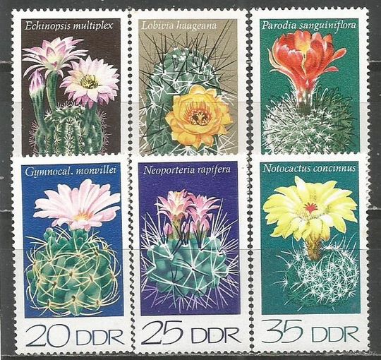 ГДР. Кактусы. 1974г. Mi#1922-27. Серия.