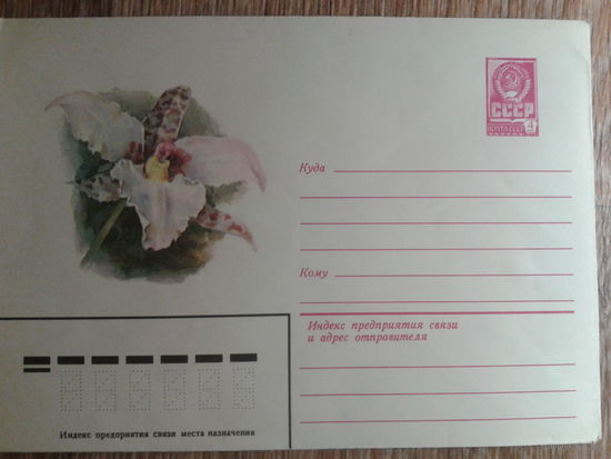 1981 хмк орхидея