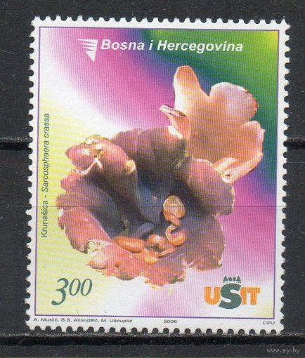 Флора Босния и Герцеговина (Сербия) 2006 год 1 марка