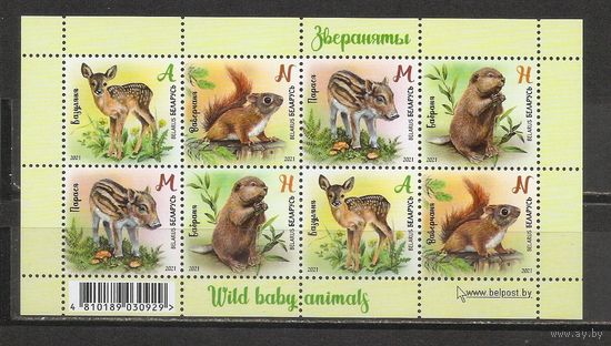 ФФ1 Беларусь 2021 Зверята