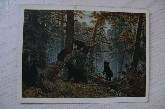 Шишкин И., Утро в сосновом лесу; 1956, чистая, ДМПК, герб зеленый, штамп переоценки.