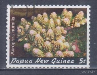 [154] Папуа Новая Гвинея 1982. Морская фауна.Кораллы и другие.5т. Гашеная марка.