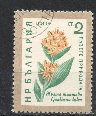 Цветы Болгария 1960 год флора /К-1-1