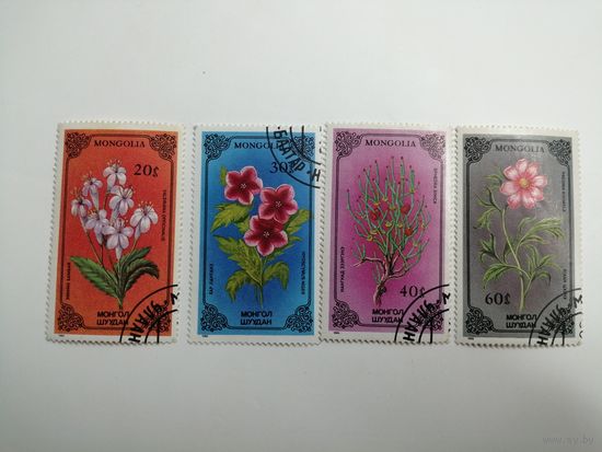 Монголия 1986. Флора. Растения