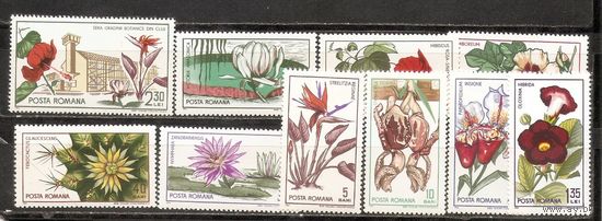ФФ2 Румыния 1965 Цветы