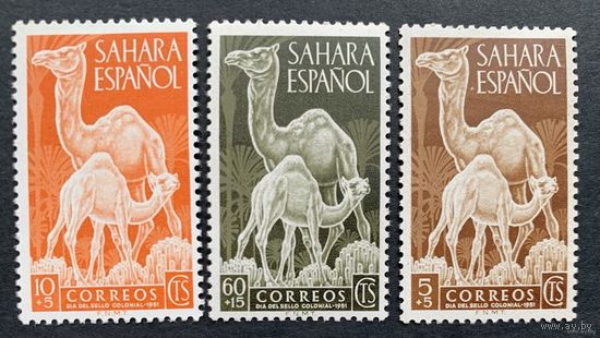 Испанские колонии. Сахара 1951. Верблюды. 122-24