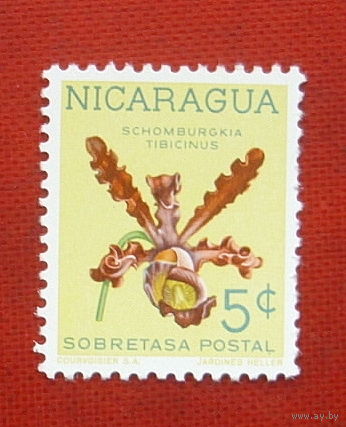 Никарагуа. Флора. ( 1 марка ). 6-1.