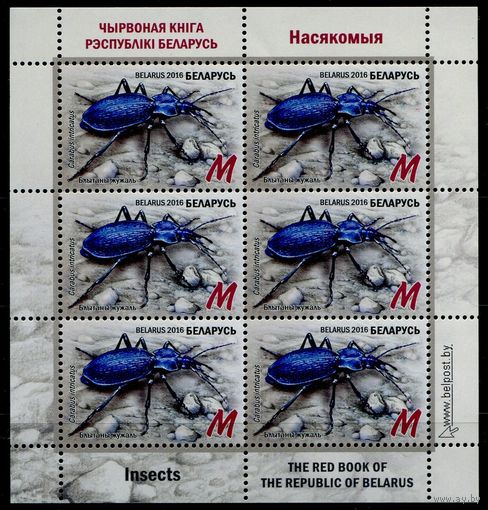 Беларусь 2016 #1111. Малый лист Насекомые. Путаная жужелица (6M)