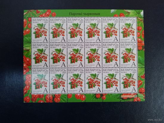 Стандарт 2004. Ягоды. А. Красная смородина. Малый лист