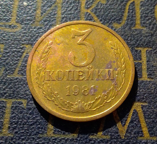 3 копейки 1981 СССР #04