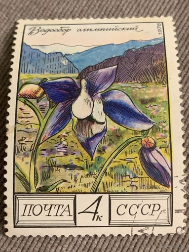 СССР 1976. Водосбор олимпийский. Марка из серии