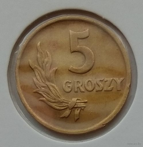 Польша 5 грошей 1949 г. Бронза. Состояние. В холдере