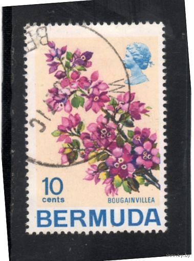 Бермуда. Ми-251. Бугенвиллия. Серия: Цветы. 1970.