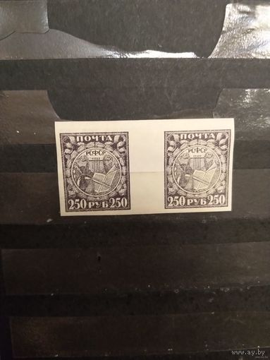 1921 Советская Россия РСФСР пара с дорожкой горизонтальные соты + разновидность прихлоп идеал MNH** (4-8)