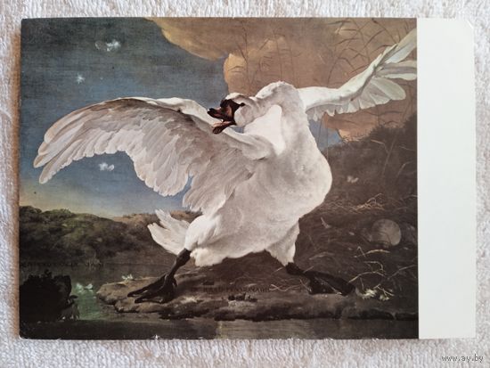 Асселин. Разъяренный лебедь. Издание Голландии