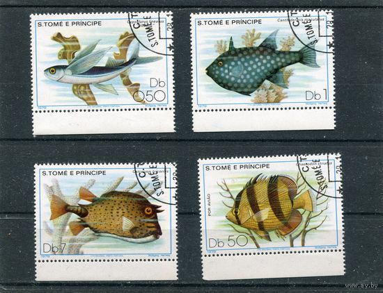 Сан Томе и Принсипи. Морская фауна. Рыбы
