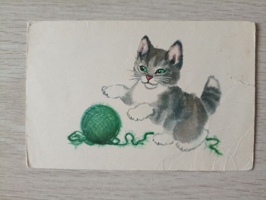 Худ.Гамбургер котенок1968