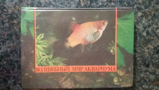 Альбом - книга Мир аквариума.