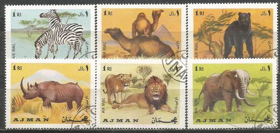 Аджман. Авиа. Животный мир эмиратов. 1969г. St#551-56. Серия.
