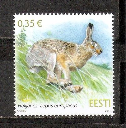 ФФ1 Эстония 2011 Заяц стандарт