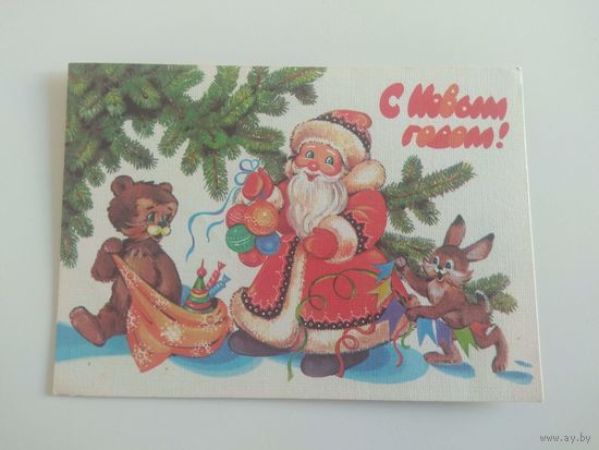 Базарова. 1989