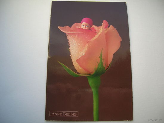 Дети Роза 2006 год Анна Геддес Арт Дизайн двойная подписана