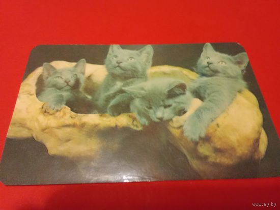 Календарик 1991г.