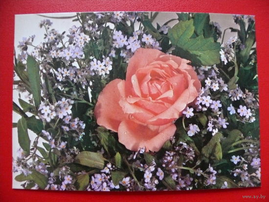 Писарски А., Композиция из цветов, 1981, чистая (Польша).