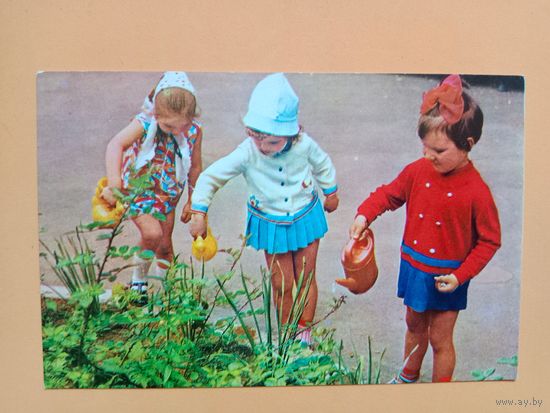Открытка 1979