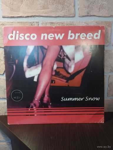 Disco New Breed – Summer Snow