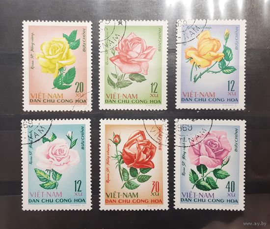 Вьетнам. 1967 год. Флора. Цветы. Розы (233)